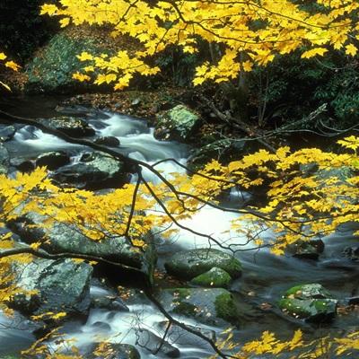 百姓彩票Welcome下载手机版